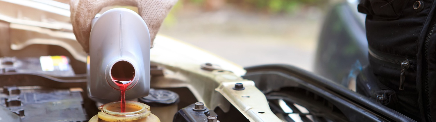Essential Transmission Fluid Change Services
